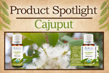 Product Spotlight: Cajuput