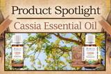 Product Spotlight: Cassia