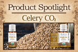 Product Spotlight: Celery CO2