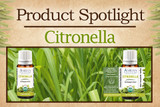 Product Spotlight: Citronella