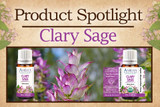 Product Spotlight: Clary Sage