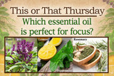 This or That: Which essential oils are perfect for focus?