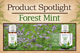 Product Spotlight: Forest Mint