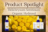New Product Spotlight: Helichrysum Serotinum Hydrosol