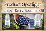 Product Spotlight: Juniper Berry