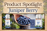 Product Spotlight: Juniper Berry