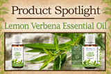 Product Spotlight: Lemon Verbena