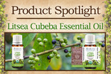 Product Spotlight: Litsea Cubeba