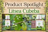 Product Spotlight: Litsea Cubeba