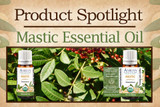 Product Spotlight: Mastic