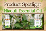 Product Spotlight: Niaouli