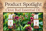 Product Spotlight: Clove Bud