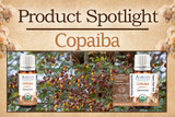 Product Spotlight: Copaiba