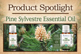 New Product Spotlight: Organic Pine Sylvestre
