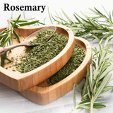 7 Things You May Not Know About Rosemary Essential Oil