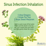 Essential Oils for Sinus Infections
