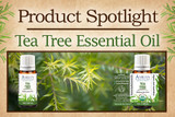 Product Spotlight: Tea Tree