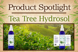 New Product Spotlight: Tea Tree Hydrosol