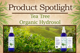 New Product Spotlight: Tea Tree Hydrosol