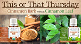 This or That: Cinnamon Bark versus Cinnamon Leaf