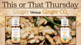 This or That: Ginger Steam Distilled vs Ginger CO2