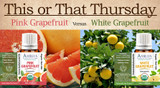 This or That: Pink Grapefruit vs. White Grapefruit
