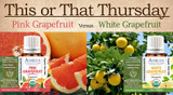 This or That: Pink Grapefruit versus White Grapefruit