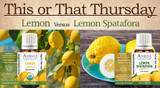 This or That: Lemon versus Lemon Spatafora