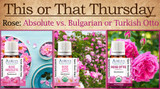 This or That: Rose Absolute vs Bulgarian or Turkish Rose Otto