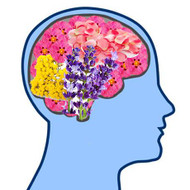 PTSD – Can Essential Oils Help?