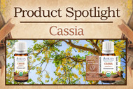 Product Spotlight: Cassia