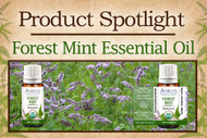 Product Spotlight: Forest Mint