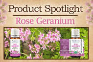 Product Spotlight: Rose Geranium