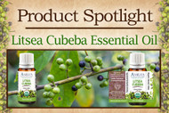 Product Spotlight: Litsea Cubeba