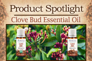 Product Spotlight: Clove Bud