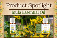 Product Spotlight: Inula — A Rare Gem for Body, Mind, and…Breath