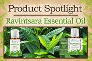 Product Spotlight: Ravintsara