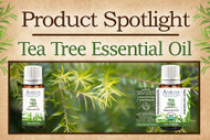 Product Spotlight: Tea Tree