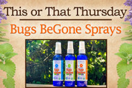 This or That: Which Bugs BeGone spray is best?