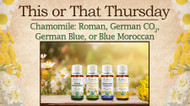 This or That: Chamomile — Roman, German, or Moroccan
