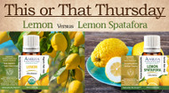 This or That: Lemon versus Lemon Spatafora