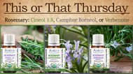 This or That: Cineol 1.8, Camphor Borneol, or Verbenone Rosemary