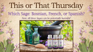 This or That: Bosnian, French, or Spanish Sage