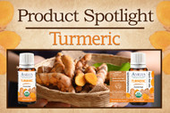 Product Spotlight: Turmeric