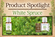 Product Spotlight: White Spruce