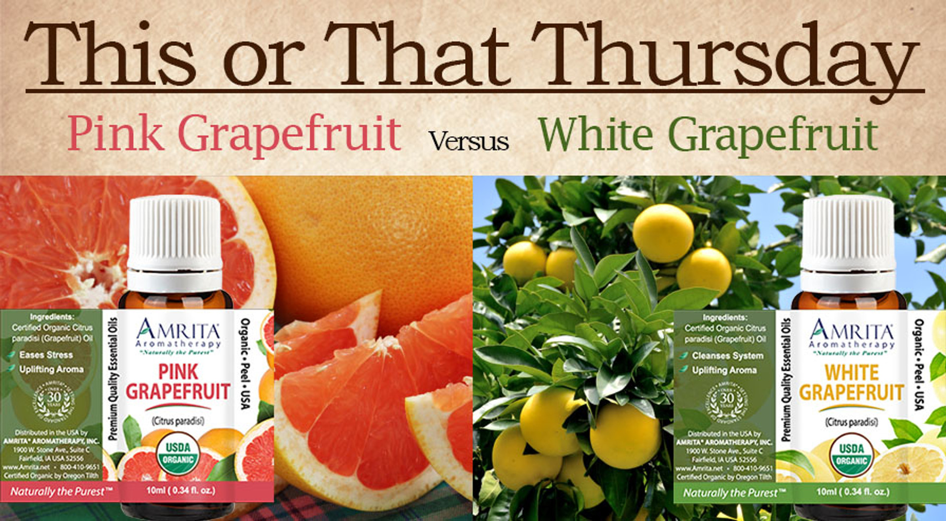 This or That Pink Grapefruit versus White Grapefruit Amrita