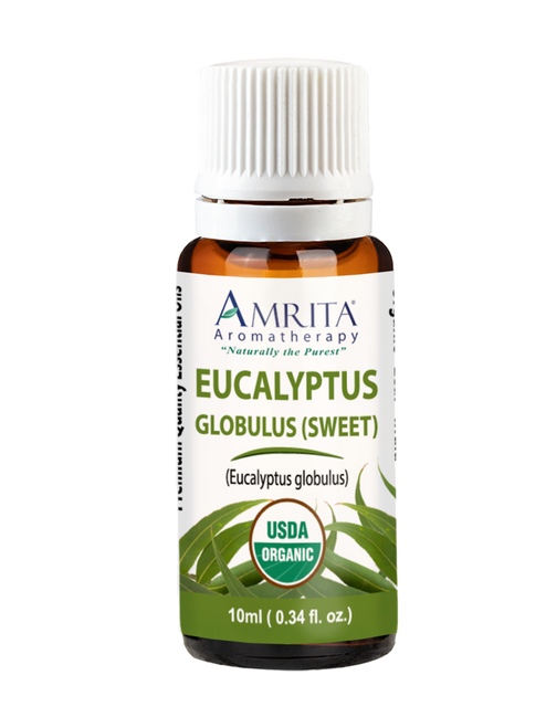 Eucalyptus Sweet Globulus Organic Essential Oil 10mL photo