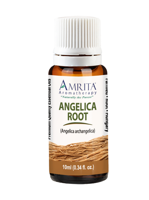 Angelica Root Essential Oil 10mL photo