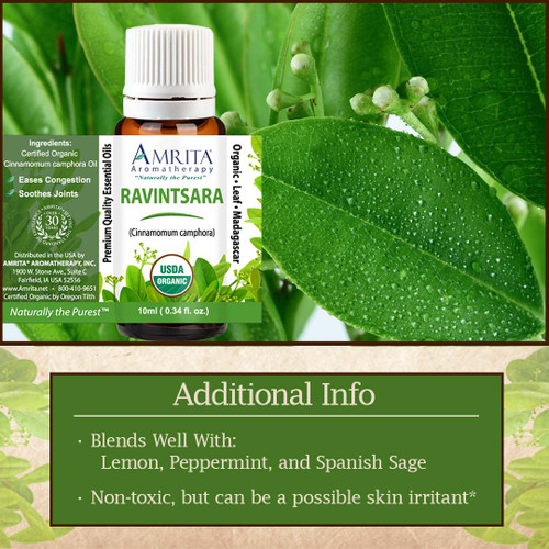 Ravintsara Organic Essential Oil Amrita Aromatherapy