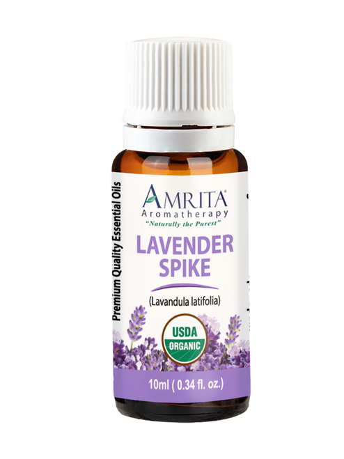 Lavender Spike Organic Essential Oil 10mL photo